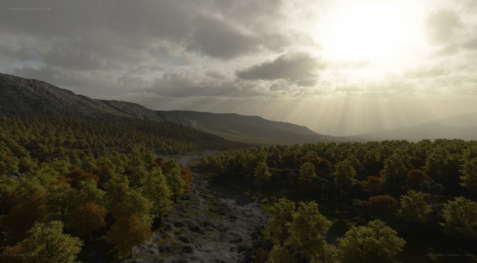 Sunlight over forest valley