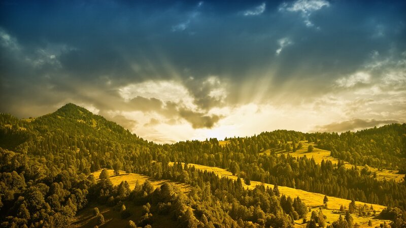 Sunlight over forested hills