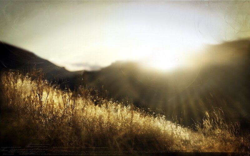 Sunlight over golden grasslands