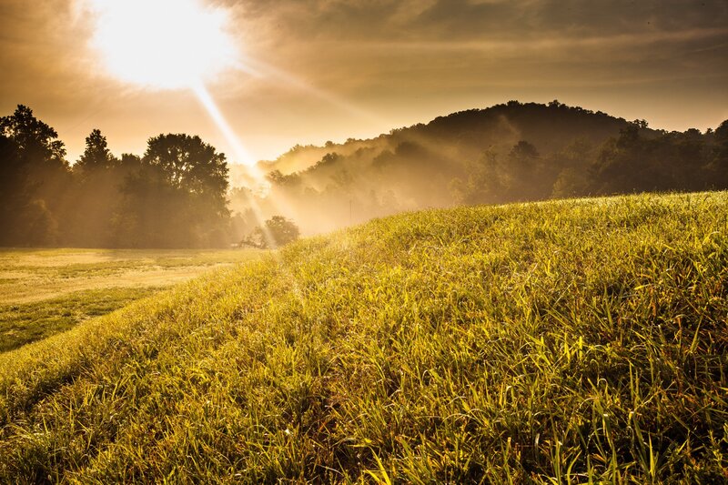 Sunlight over Grassy Field — Green, Serene