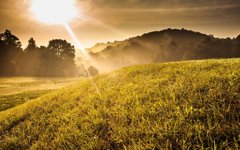 Sunlight over Grassy Field