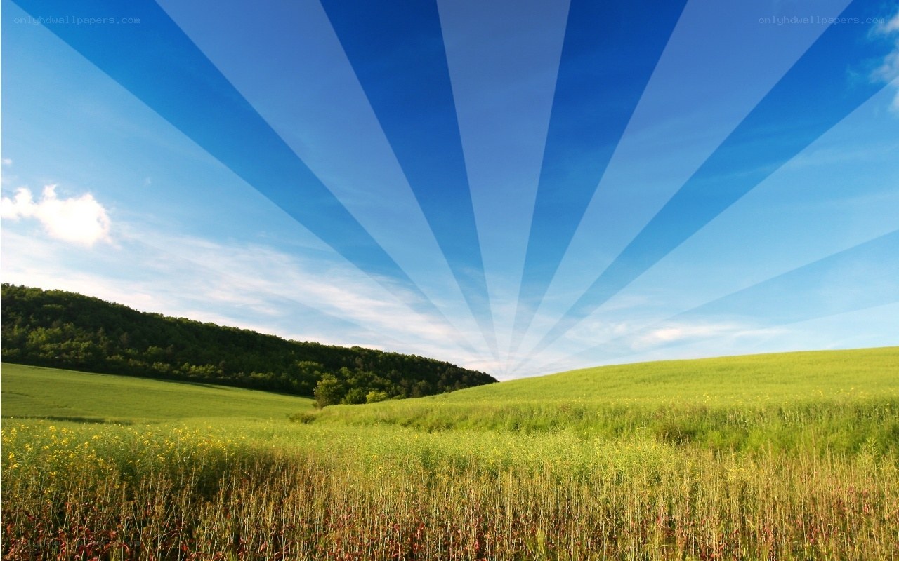 Sunlight over green fields