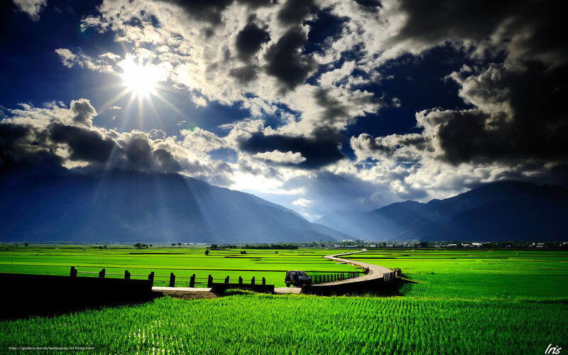Sunlight over green fields