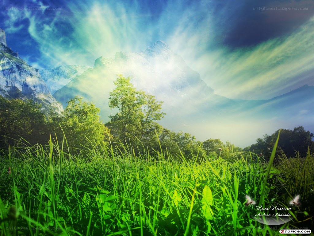 Sunlight over mountain meadow