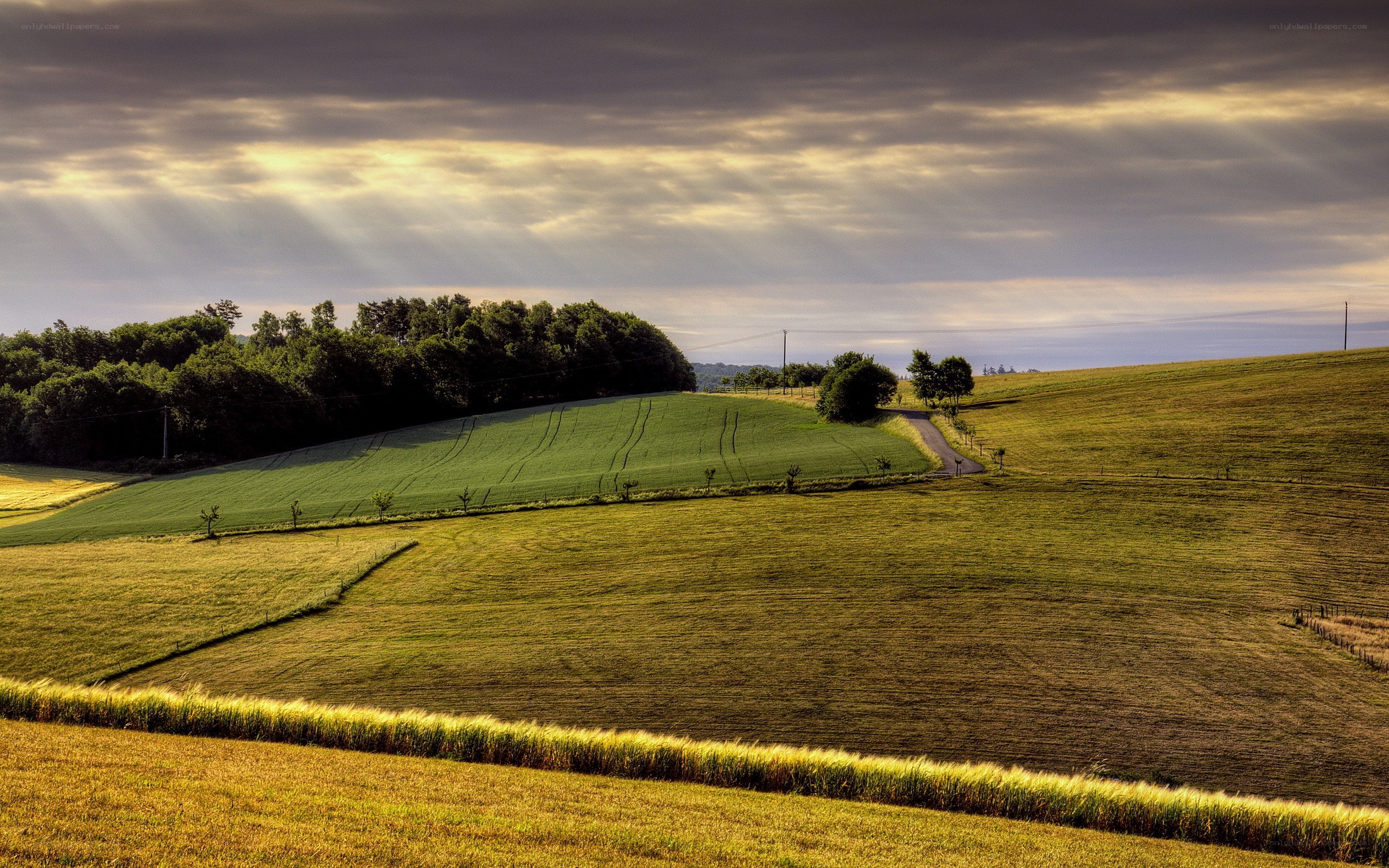 Sunlight over rolling green hills