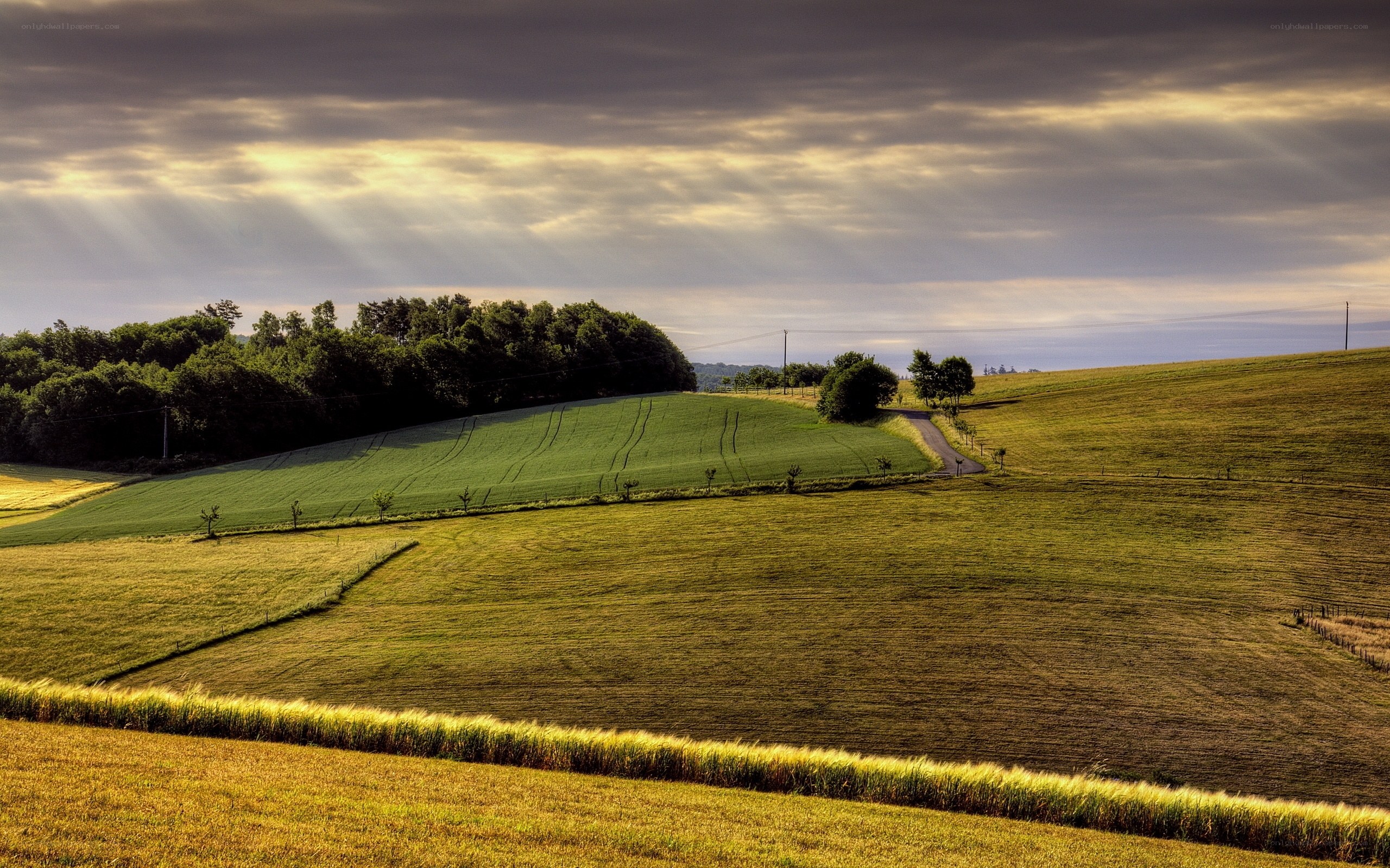 Sunlight over rolling green hills