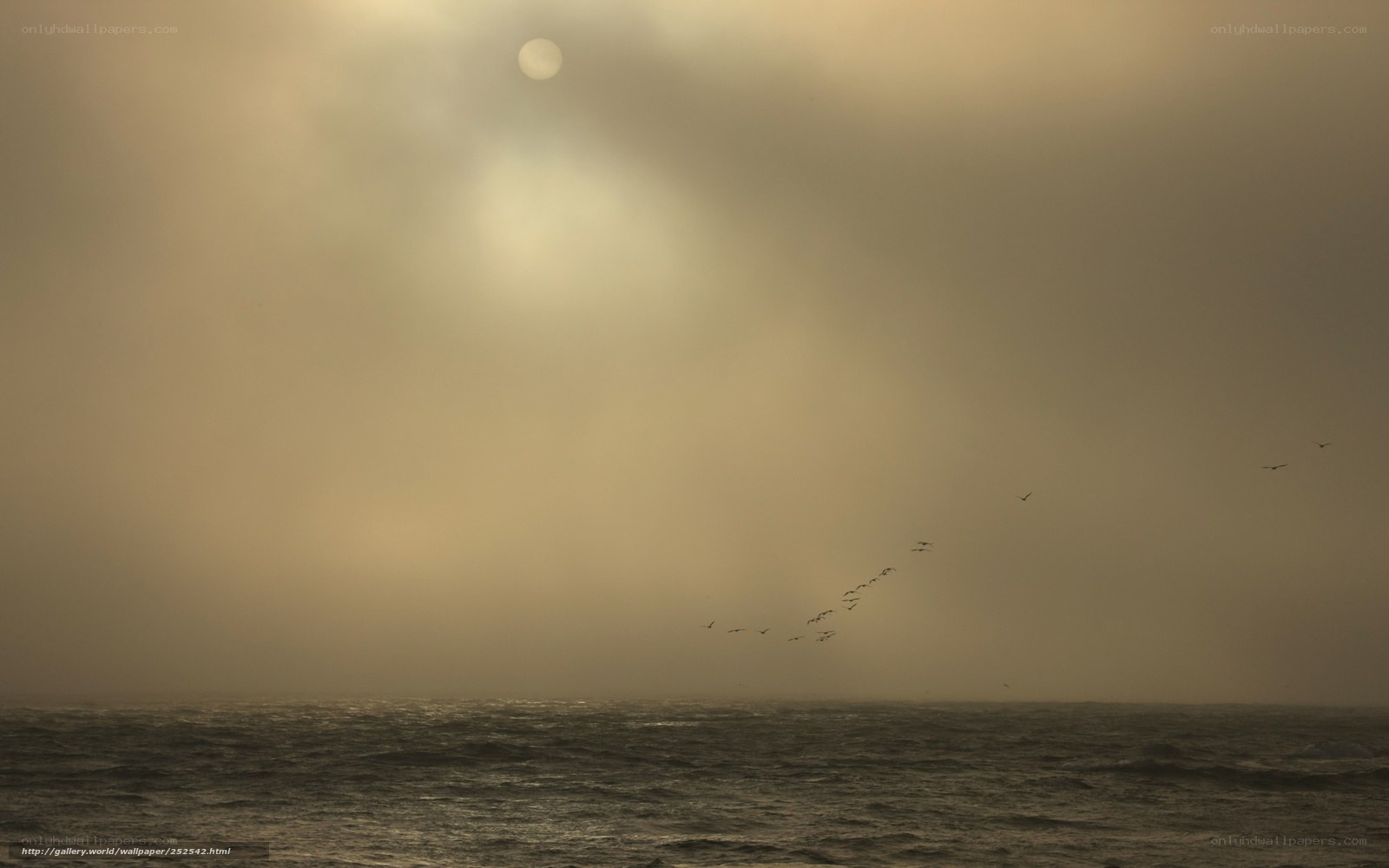 Sunlight over the ocean