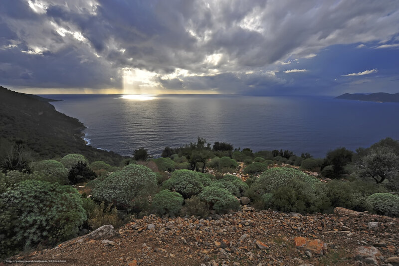 Sunlight over the sea