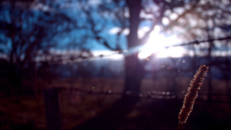 Sunlight through a barbed wire fence