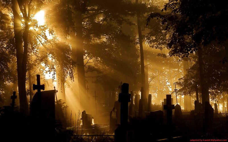 Sunlight through a cemetery