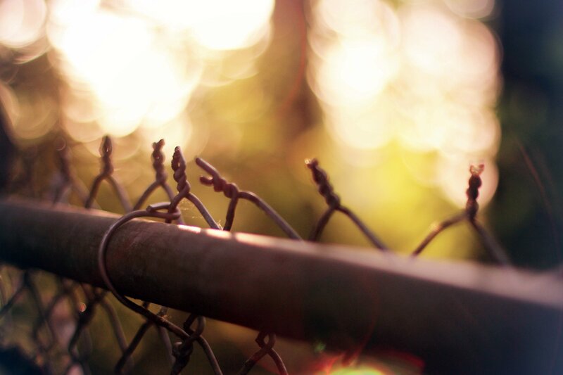 Sunlight through a chain-link fence