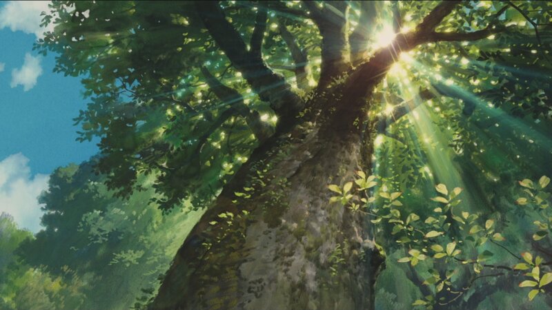 Sunlight through a forest tree