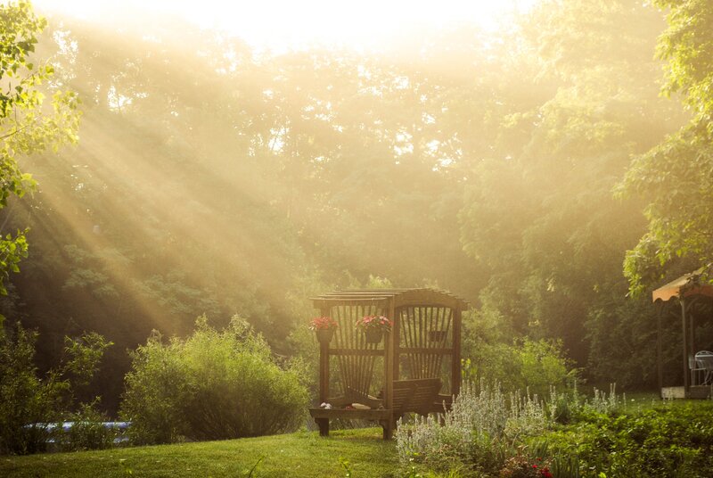 Sunlight through a garden arbor