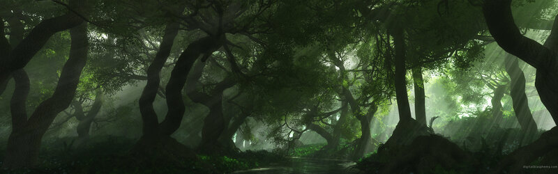 Sunlight through a misty forest