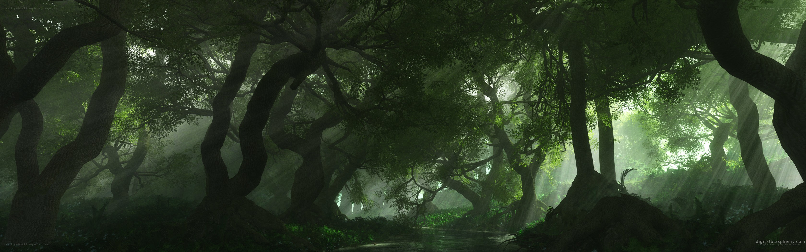 Sunlight through a misty forest