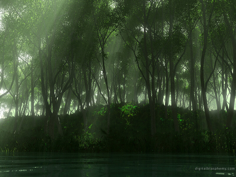 Sunlight through a misty forest