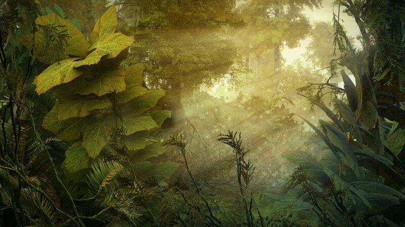 Sunlight through a misty forest