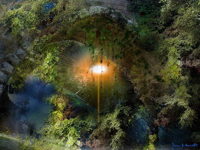 Sunlight through a mossy arch