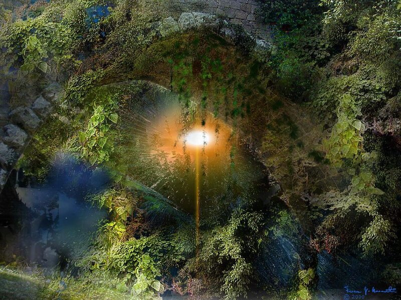 Sunlight through a mossy cave