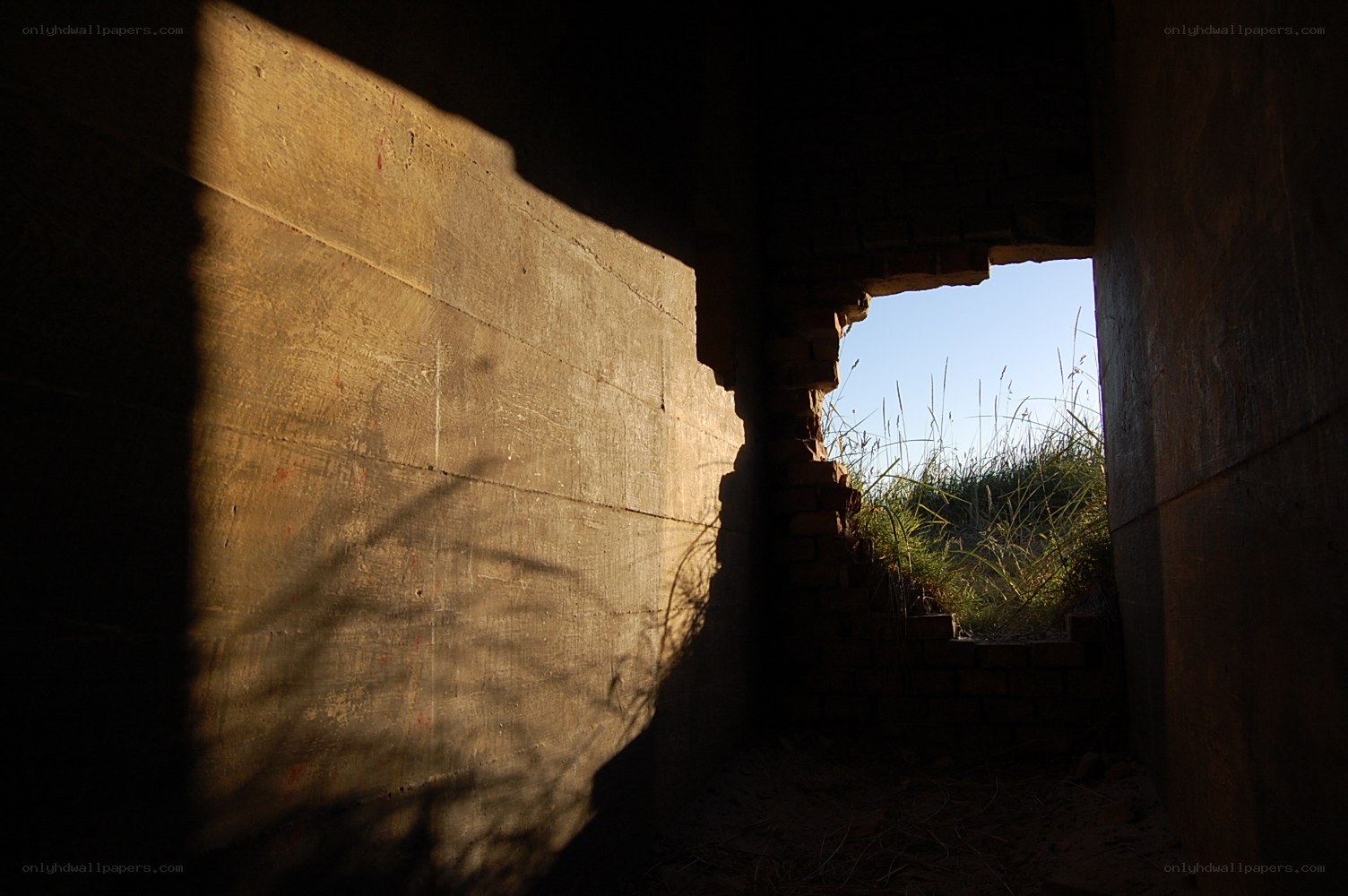 Sunlight through a ruined window