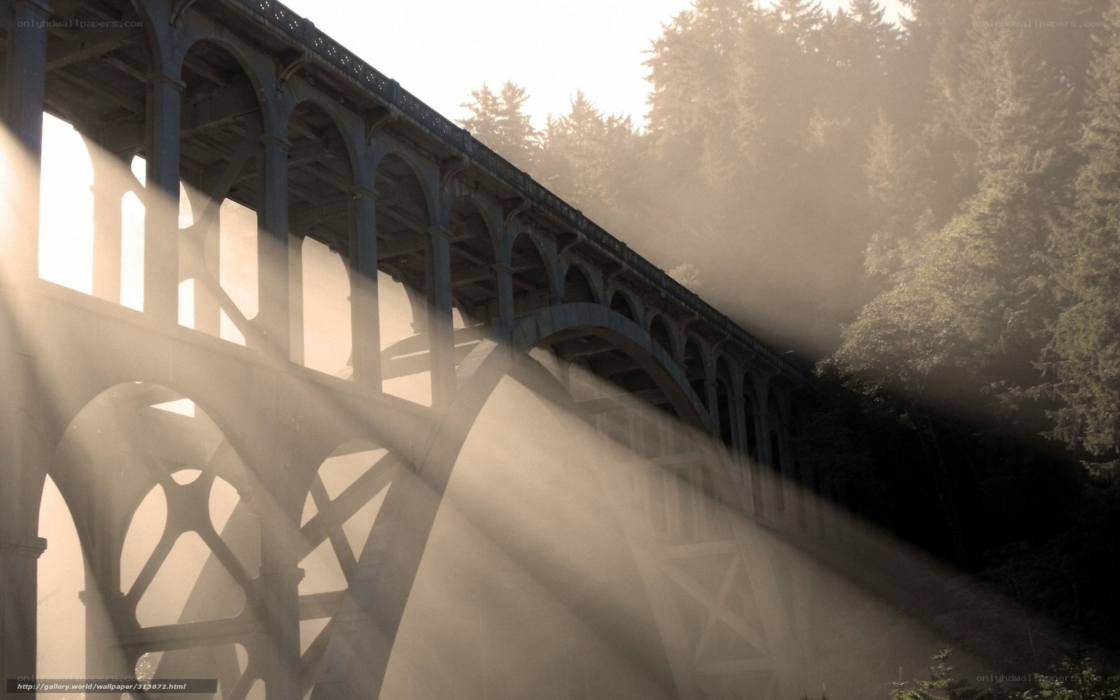 Sunlight through a stone bridge