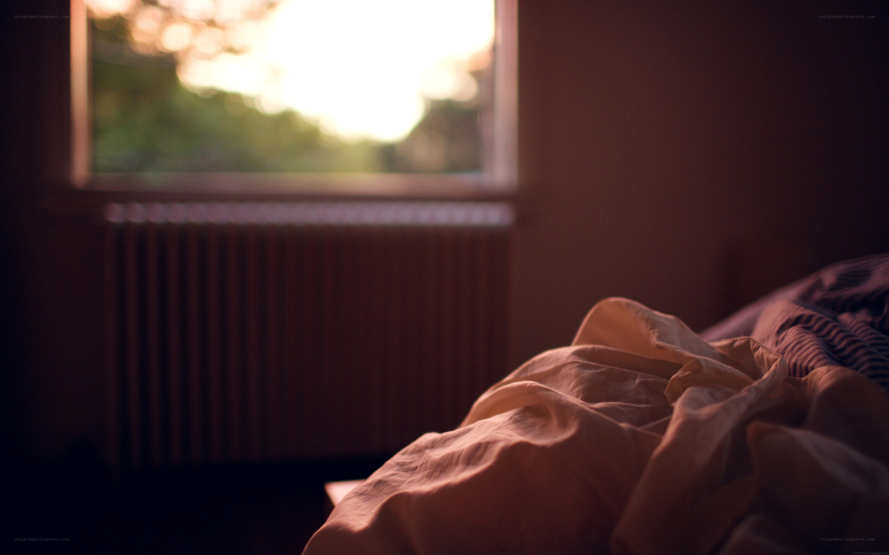 Sunlight through a window