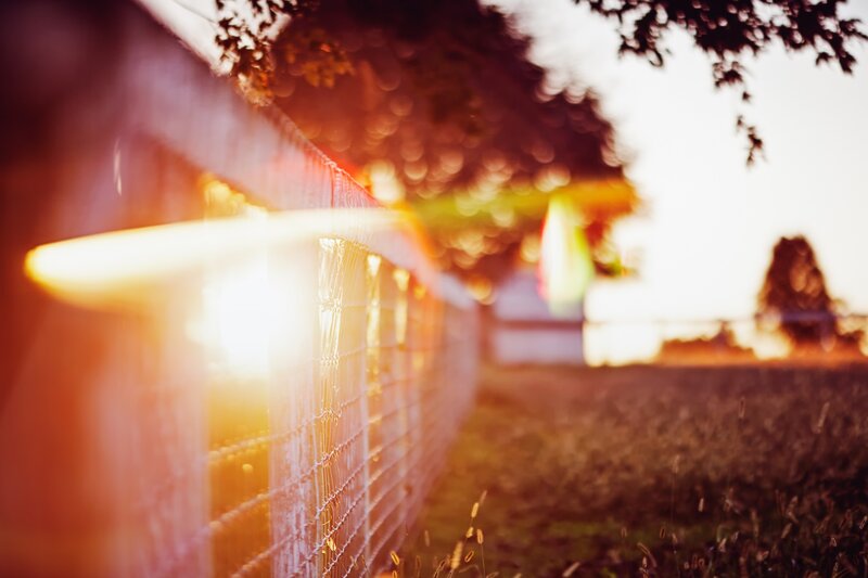 Sunlight through a wire fence