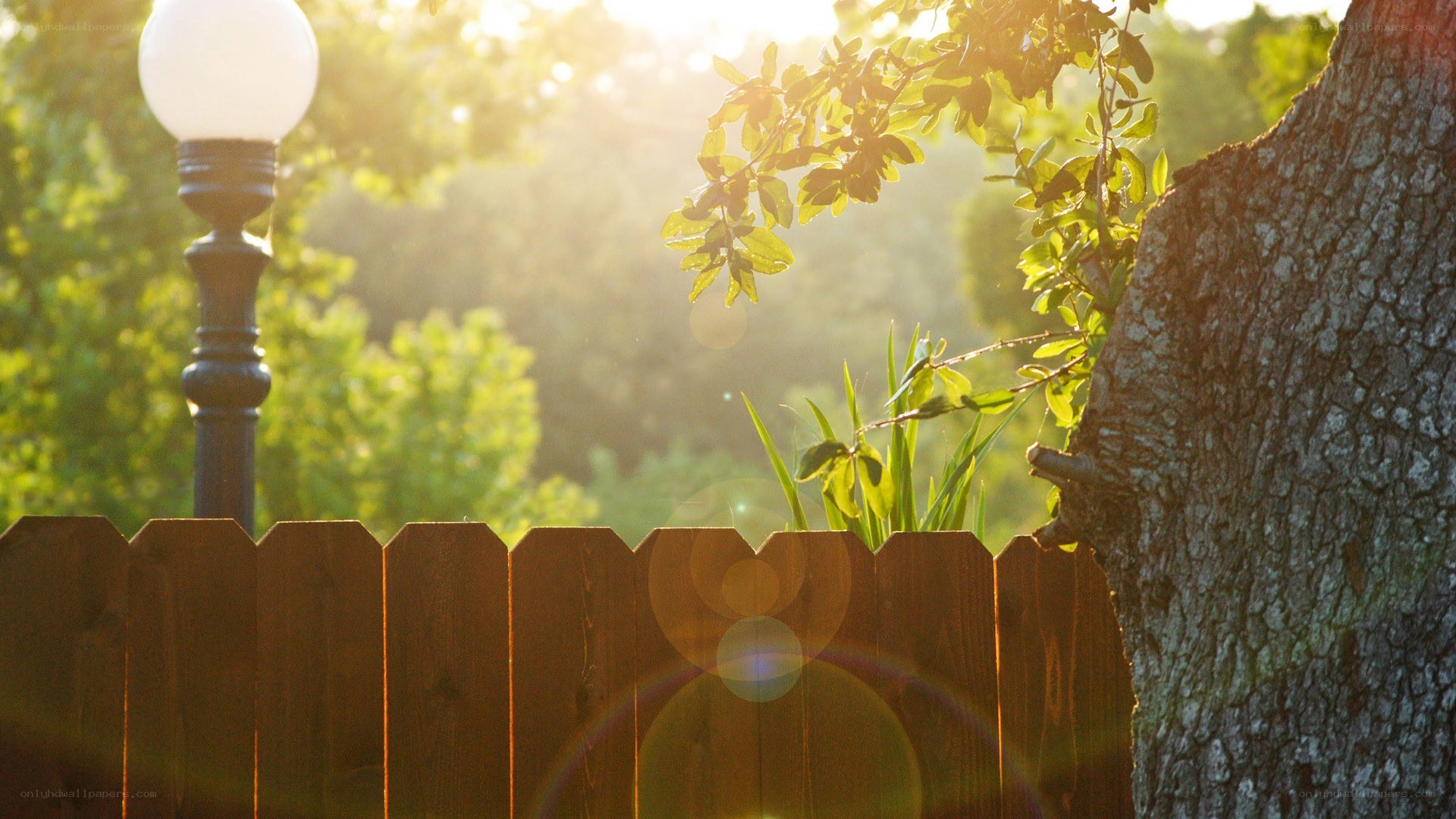 Sunlight through a wooden fence