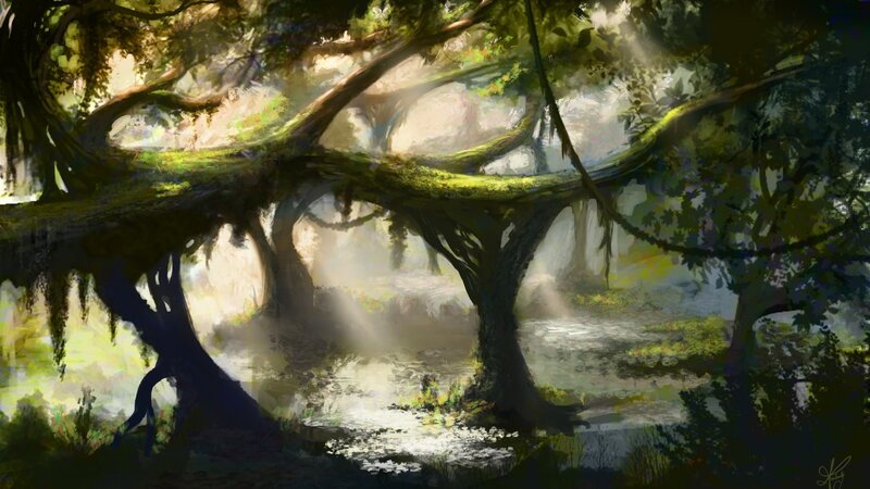 Sunlight through ancient forest