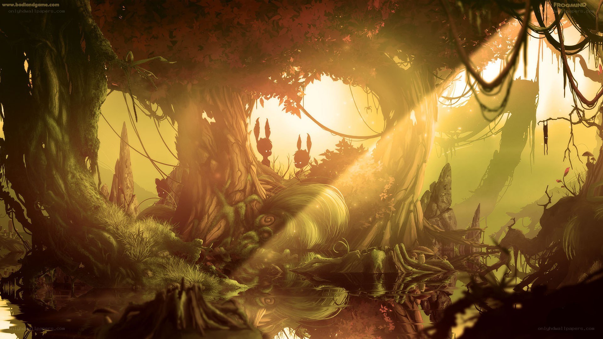 Sunlight through ancient forest
