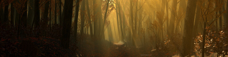 Sunlight through autumn forest