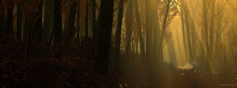 Sunlight through autumn forest