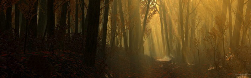 Sunlight through autumn forest