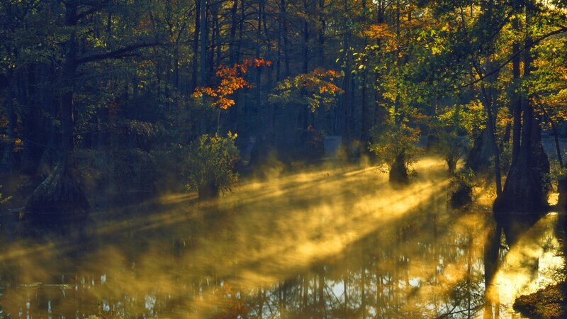 Sunlight through autumn mist