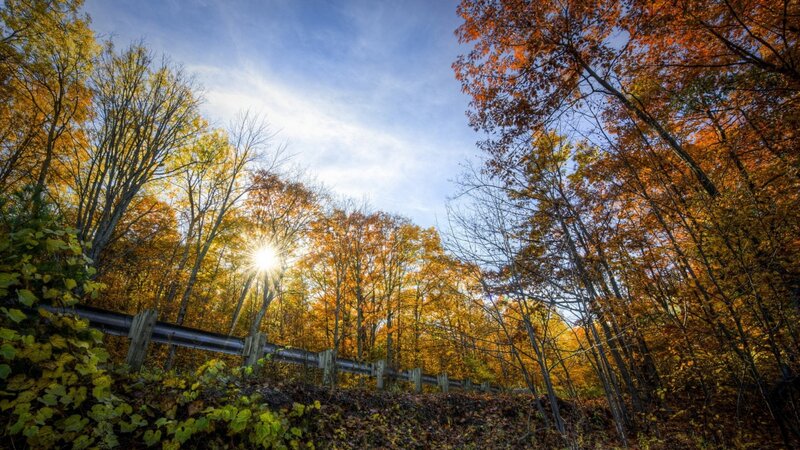 Sunlight Through Autumn Trees — Orange, Serene, Photograph, Guardrail