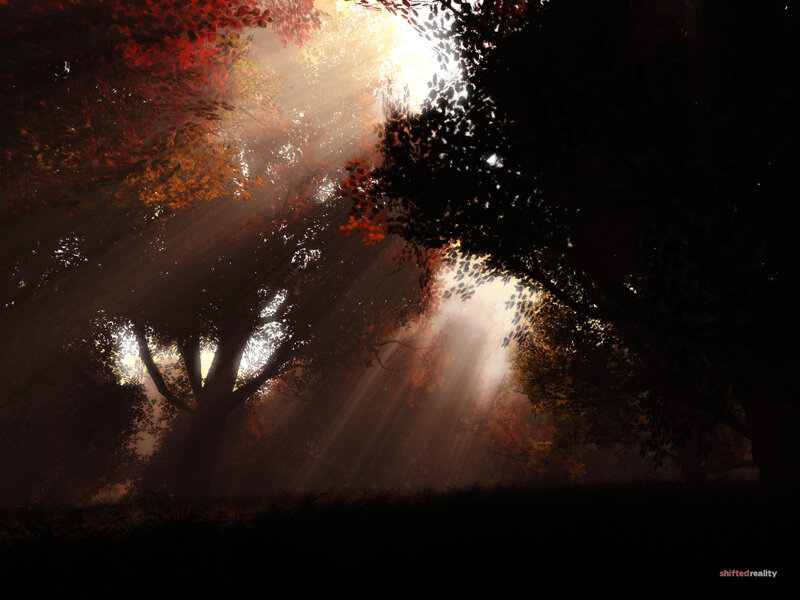 Sunlight Through Autumn Trees — Red, Dramatic, Digital Art