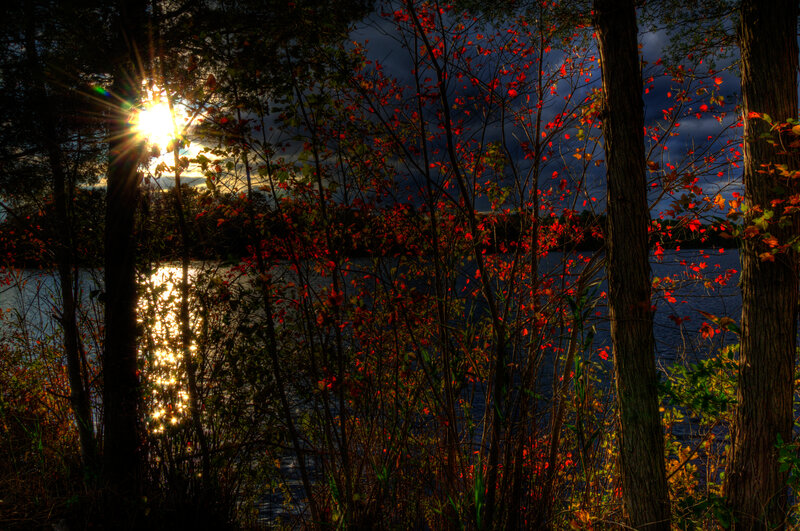 Sunlight Through Autumn Trees — Red, Dramatic, Sunset