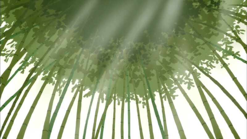 sunlight through bamboo forest