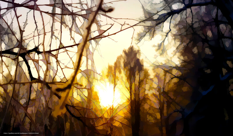 Sunlight Through Bare Trees — Yellow