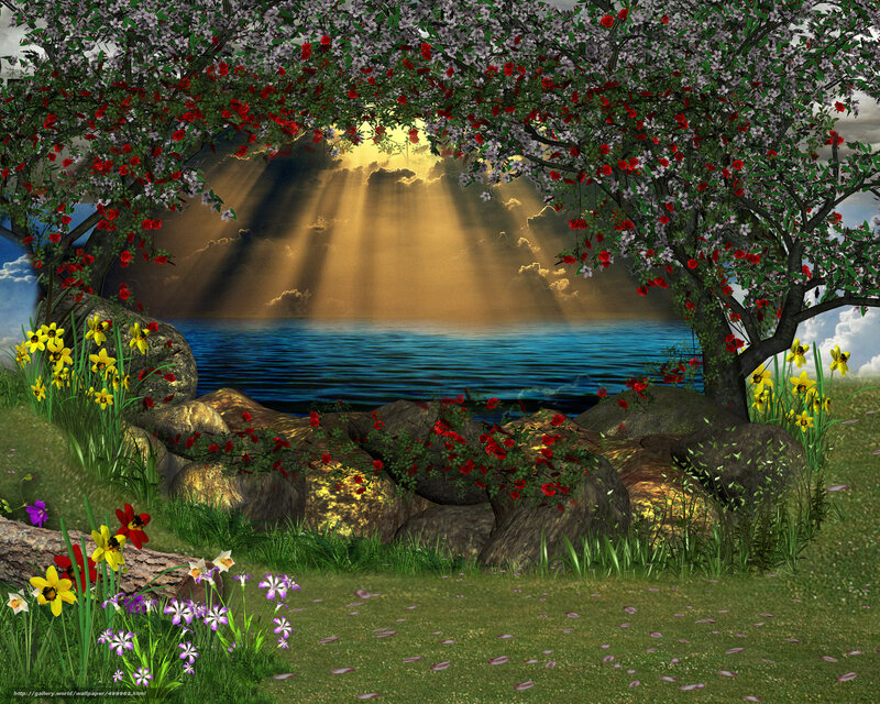 Sunlight through blooming trees