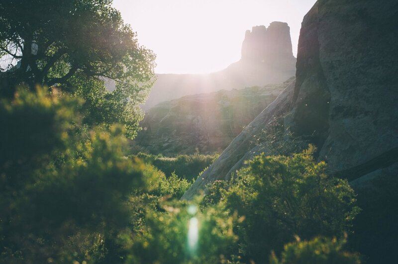 Sunlight Through Canyon — Green, Serene