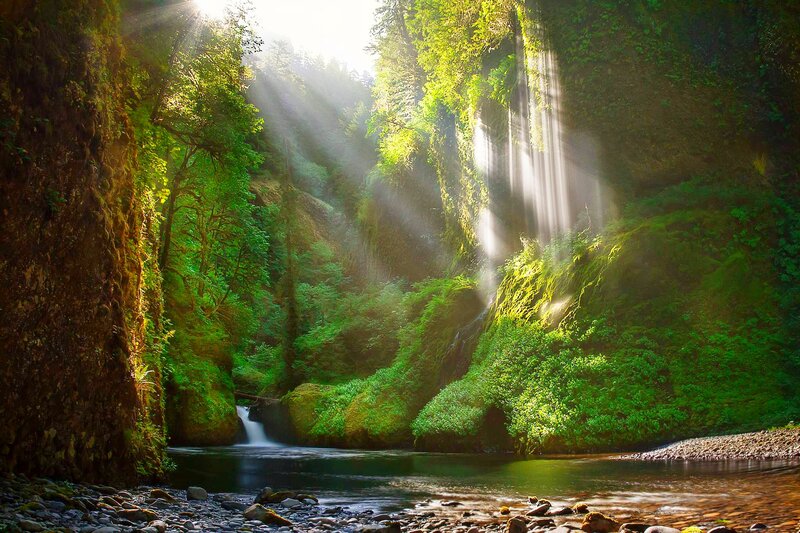 Sunlight Through Canyon — Green