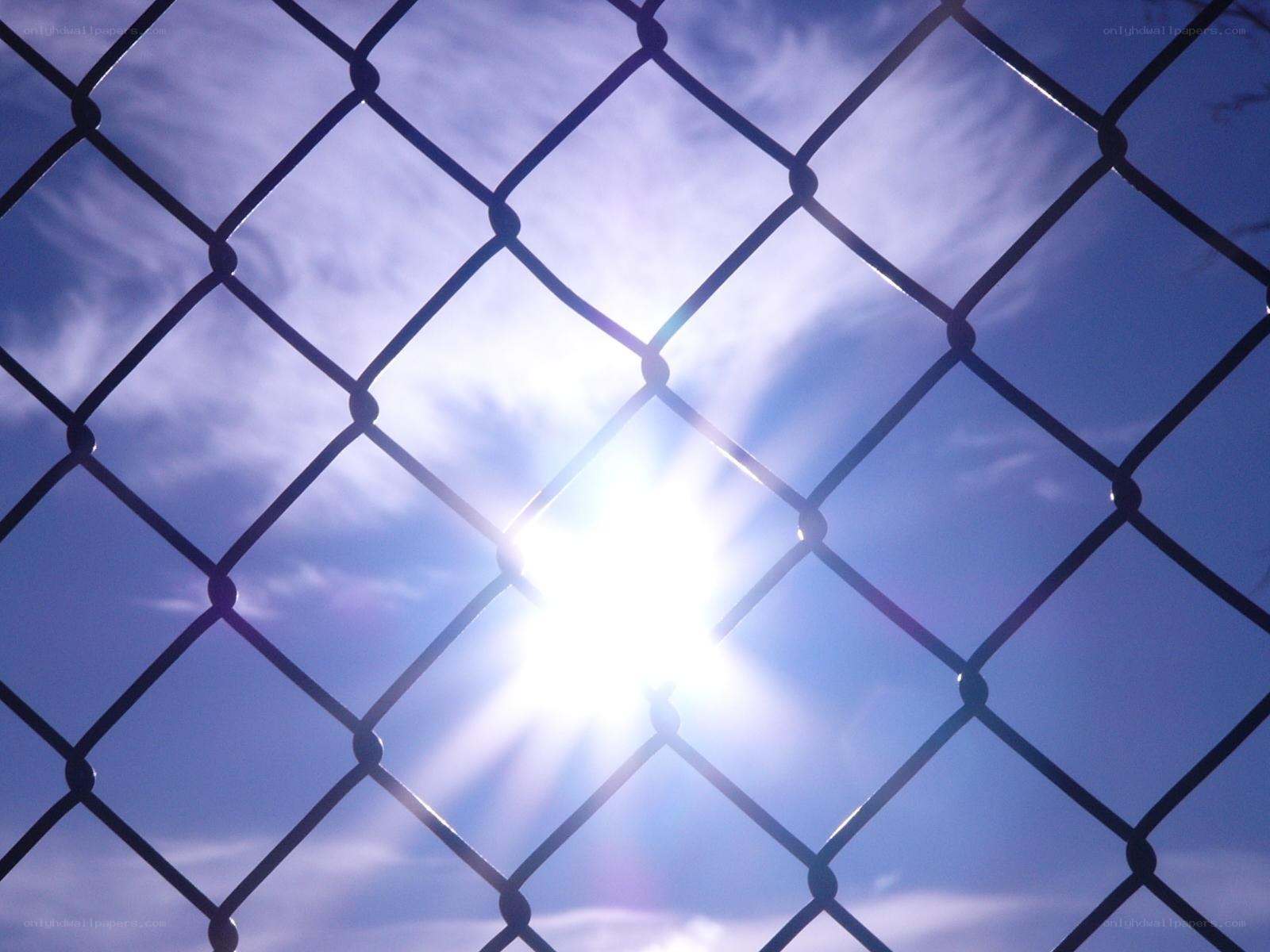 Sunlight through chain-link fence