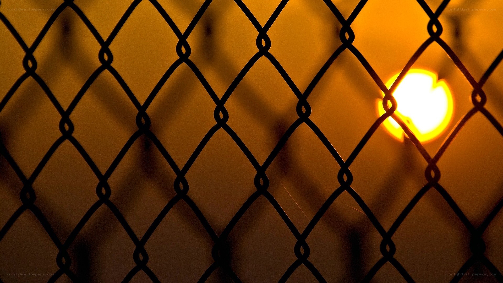 Sunlight through chain-link fence