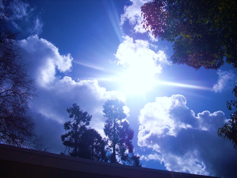 Sunlight through clouds and trees