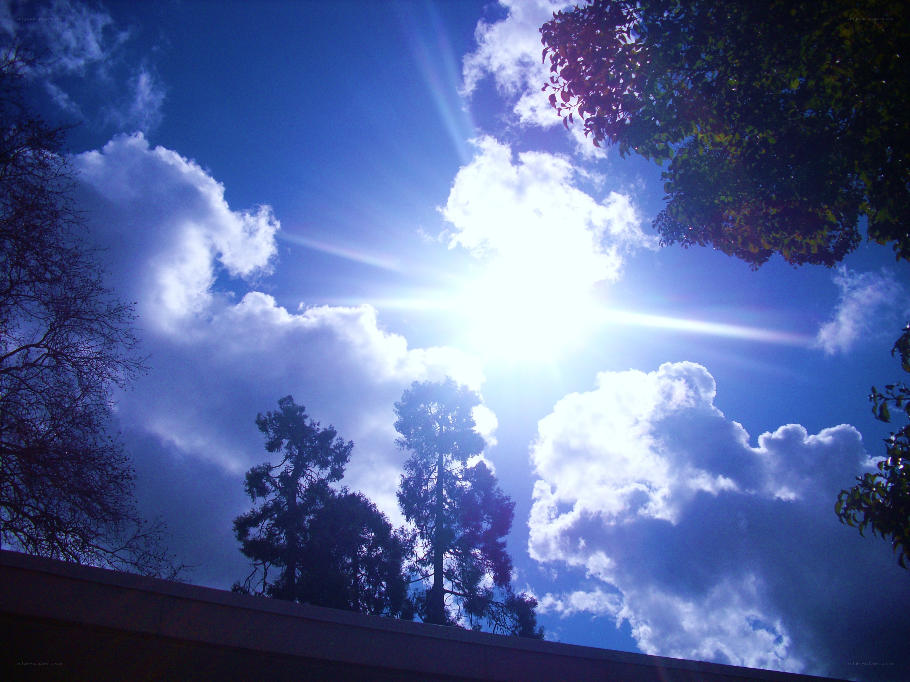 Sunlight through clouds and trees