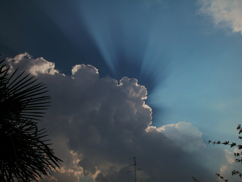 Sunlight Through Clouds — Blue, Dramatic, Afternoon, Photograph, Palm Tree