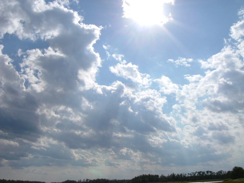 Sunlight Through Clouds — Blue, Dramatic, Afternoon, Photograph, Sky, Trees, White, Green