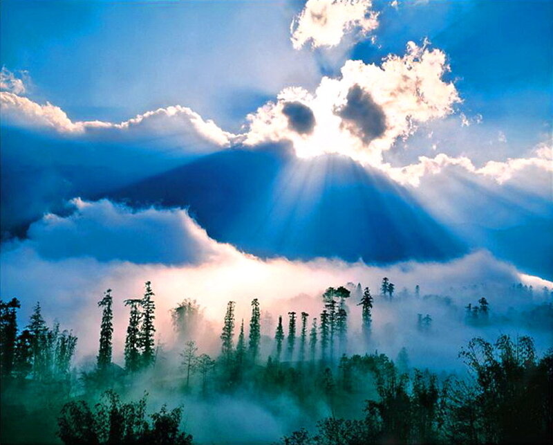 Sunlight Through Clouds — Blue, Dramatic, Sunrise, Photograph, Trees, Fog