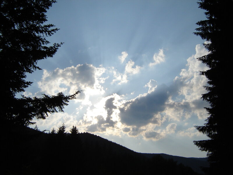 Sunlight Through Clouds — Blue, Dramatic, Sunrise, Photograph, Trees